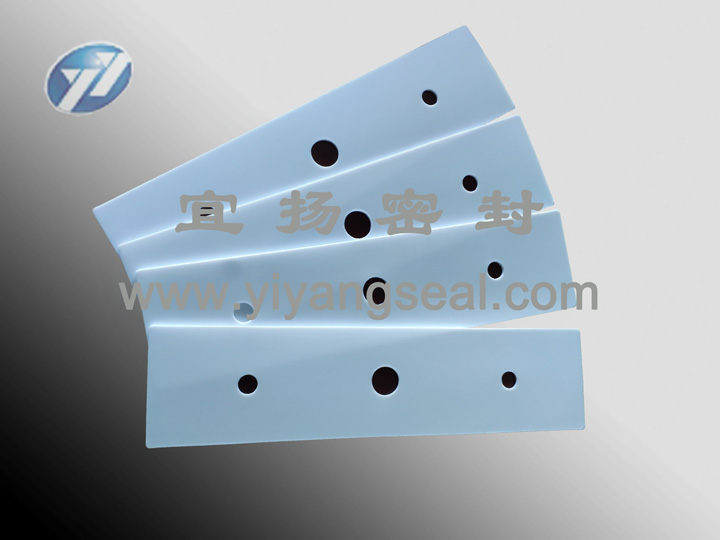 PTFE gasket